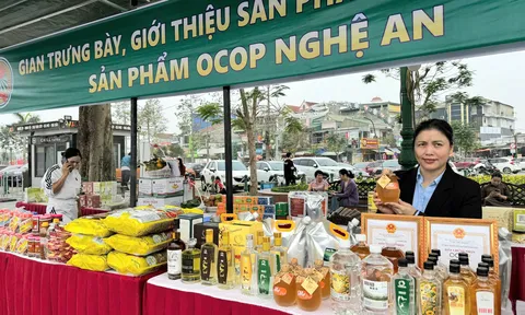 Nghệ An: Lắng nghe chủ thể, nâng cao giá trị sản phẩm OCOP