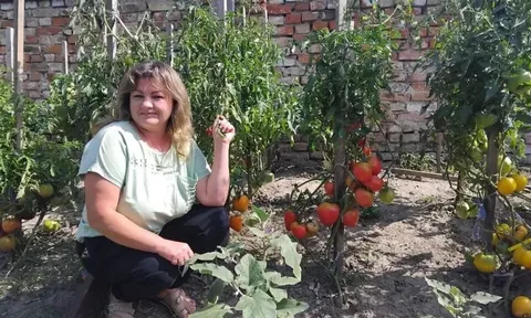 ‘Nữ hoàng cà chua’ Ukraine và bộ sưu tập 400 giống cây độc bản tại vùng Volyn