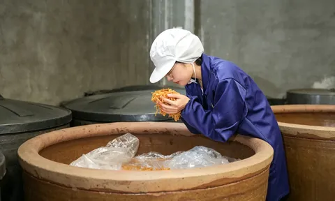 Ngã rẽ táo bạo: Bỏ suất tuyển thẳng thạc sĩ để về làng 'ôm lu củ cải'