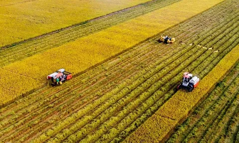 Sản xuất nông nghiệp vào cuộc đua nước rút cuối năm