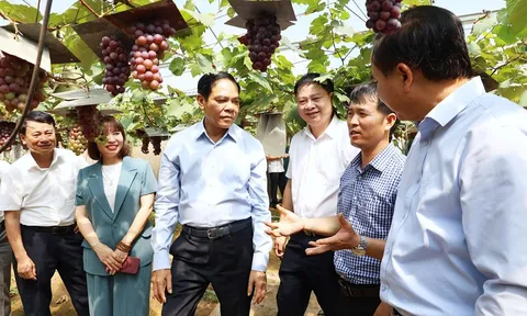 Nghệ An: Hỗ trợ làng nghề xây dựng thương hiệu, mở rộng thị trường tiêu thụ