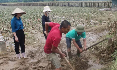 Chính phủ ban hành 6 nhóm nhiệm vụ, giải pháp trọng tâm khắc phục hậu quả bão số 3, đẩy mạnh khôi phục sản xuất kinh doanh