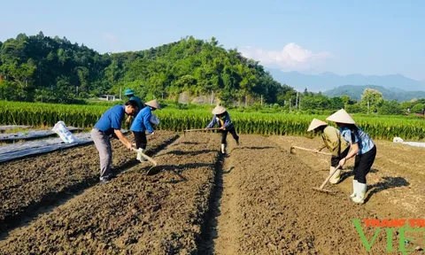 Xuất cấp hạt giống cây trồng hỗ trợ Lào Cai khôi phục sản xuất