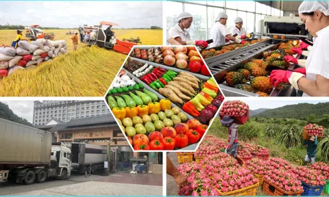 Bảo đảm sản xuất, tiêu thụ, xuất khẩu nông lâm thủy sản trong bối cảnh biến động thương mại toàn cầu
