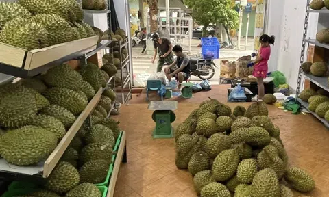 Xuất khẩu sầu riêng đông lạnh tăng 3 lần