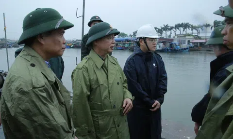 Chính quyền các xã phải nắm rất chắc vật tư, phương tiện, nhân lực huy động phòng, chống bão