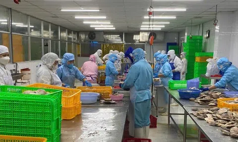 Cơ hội và thách thức cho nông sản Việt trước 'khoảng trống' tại thị trường EU