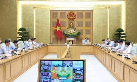Thủ tướng: 'Tuyên chiến' với khai thác IUU để chấm dứt tình trạng này vào 15/11