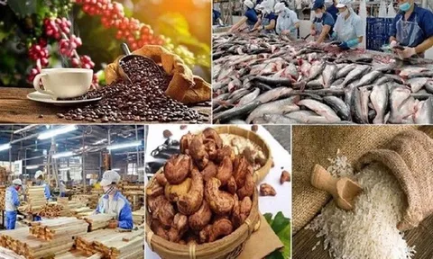 Đề xuất sửa quy định thuế GTGT lĩnh vực nông nghiệp, thức ăn chăn nuôi