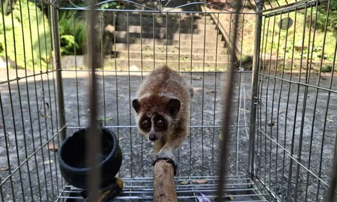 Bảo tồn động vật hoang dã: Từ chủ trương đến thực tiễn