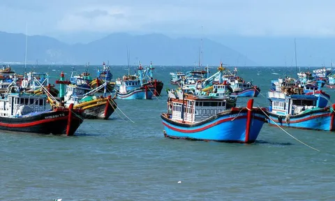 Thủ tướng Chính phủ yêu cầu khắc phục triệt để các tồn tại trong chống khai thác IUU