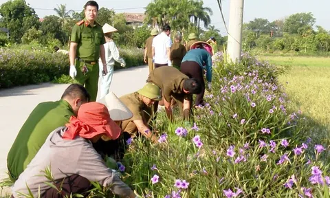 Điều kiện công nhận xã đạt chuẩn nông thôn mới, nông thôn mới hiện đại