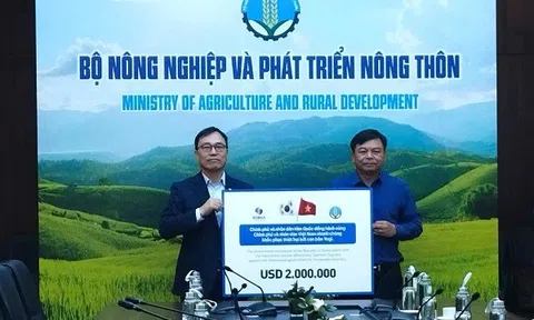 Hàn Quốc hỗ trợ 2 triệu USD để Việt Nam khắc phục thiệt hại do bão Yagi