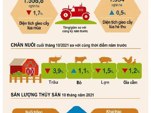 10 tháng 2021, kinh tế từng bước cải thiện theo chiều hướng tích cực