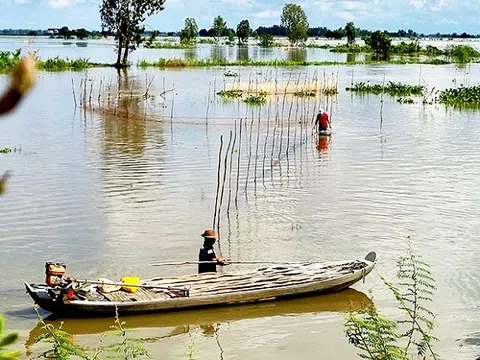 Mưu sinh trong lũ muộn đầu nguồn sông Cửu Long