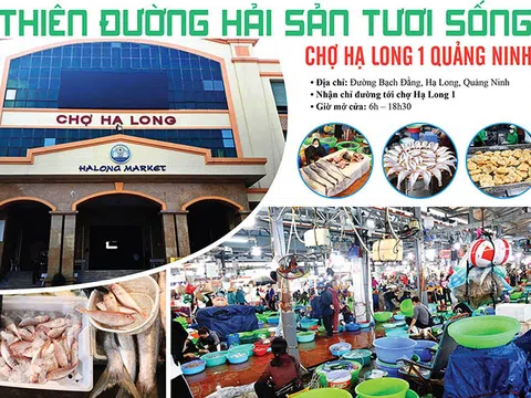 Thiên đường hải sản tươi sống: Chợ Hạ Long 1 Quảng Ninh