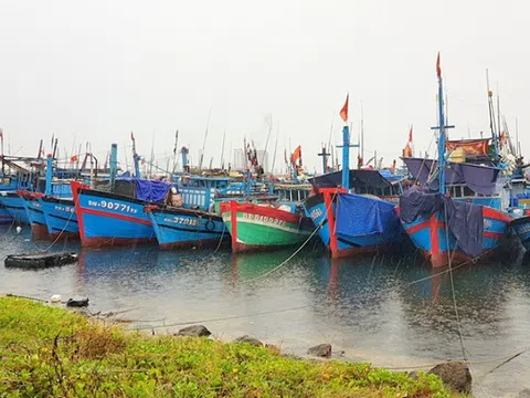 Khai thác thủy sản thích ứng an toàn, linh hoạt trong tình hình mới