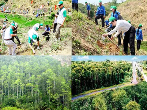 Kỷ niệm ngày Lâm nghiệp Việt Nam (28/11) và 76 năm thành lập ngành Lâm nghiệp cách mạng Việt Nam (01/12/1945 - 01/12/2021): Những dấu mốc đáng ghi nhớ