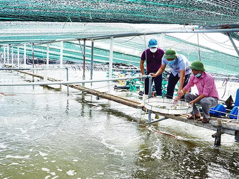 Phát triển kinh tế biển vùng nam đồng bằng sông Hồng