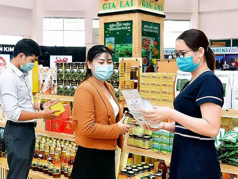 Tập trung phục hồi sản xuất nông nghiệp