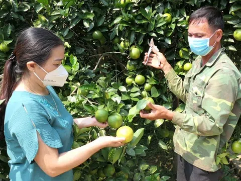 Hà Giang quan tâm đào tạo nghề cho lao động nông thôn