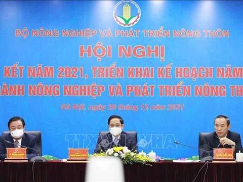 Vượt khó, ngành Nông nghiệp tăng trưởng ấn tượng trong năm 2021