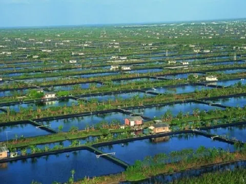 Indonesia đặt mục tiêu thành lập mạng lưới "làng nuôi trồng thủy sản"