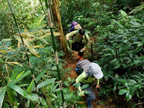 Khu bảo tồn thiên nhiên Pù Luông: khó khăn càng lớn, tinh thần càng cao