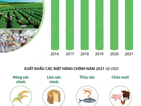 Năm 2021, xuất khẩu nông, lâm, thủy sản lập kỷ lục mới 48,6 tỷ USD