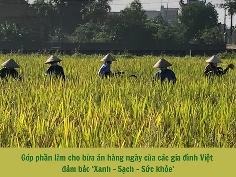 Hợp tác xã nông nghiệp Đức Nghĩa – làm nông nghiệp với “Đức” và “Nghĩa”