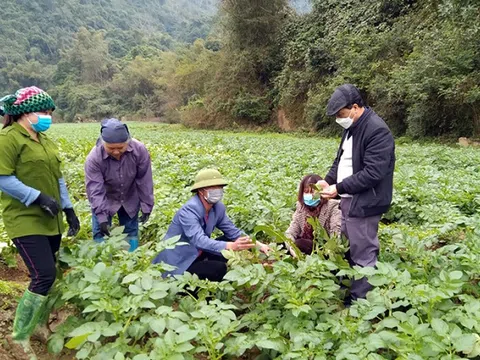 Phát triển bền vững vùng Việt Bắc