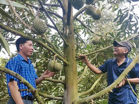 Đổi mới tư duy trong sản xuất nông nghiệp