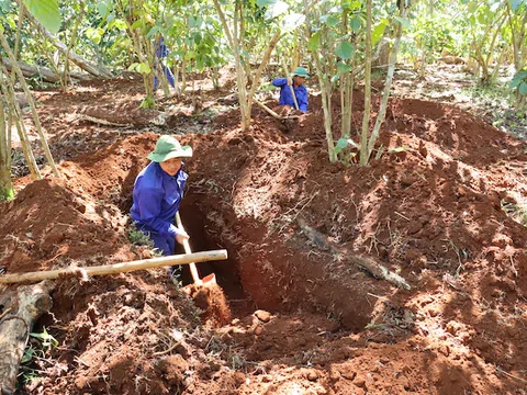 Gìn giữ tình cảm keo sơn gắn bó giữa hai dân tộc Việt Nam và Lào