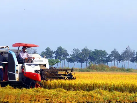 Cơ giới hóa đồng bộ gắn với giống lúa chất lượng cao: Đòi hỏi bức thiết từ thực tế