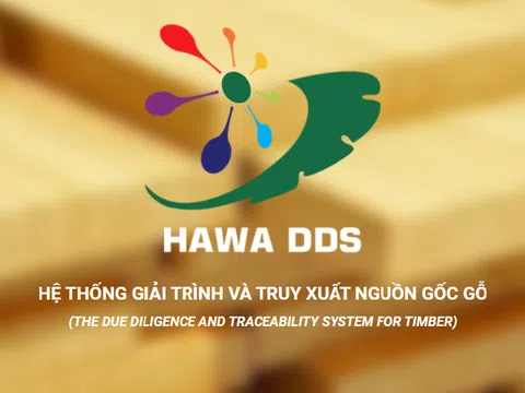 Nền tảng HAWA DDS chuyển đổi số ngành chế biến gỗ, đẩy mạnh số hóa quá trình thực thi VPA/FLEGT