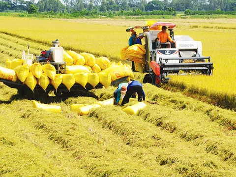 Việt Nam có thể bảo đảm vấn đề an ninh lương thực