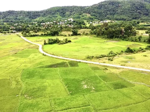 Thừa Thiên Huế: Đưa ra các giải pháp thu hoạch vụ Hè Thu trước mùa mưa lũ