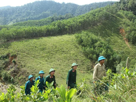 Hồi sinh trên mảnh đất da cam