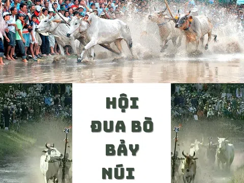 Hội đua bò Bảy Núi