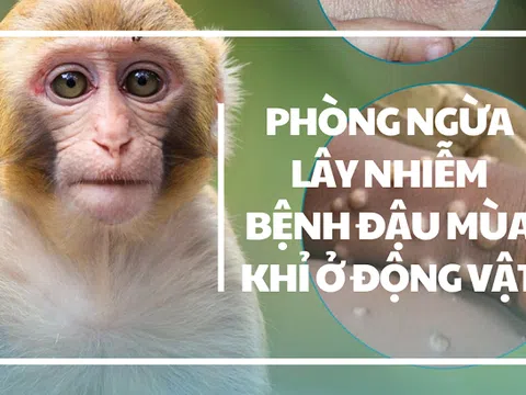 Chủ động phòng ngừa lây nhiễm bệnh Đậu mùa khỉ ở động vật