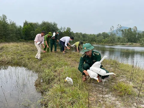 Giải cứu 30 cá thể chim mồi về với tự nhiên