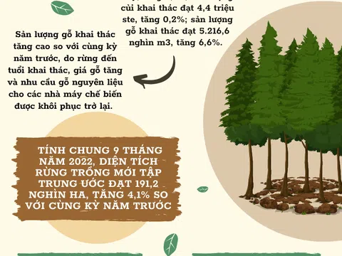 (Infographic) Sản lượng lâm nghiệp 9 tháng đầu năm 2022