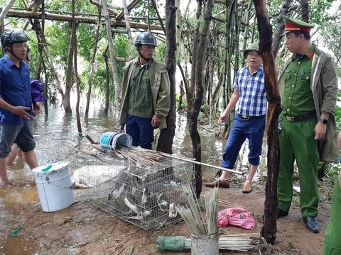 Nghệ An: Tích cực ngăn chặn nạn diệt chim trời