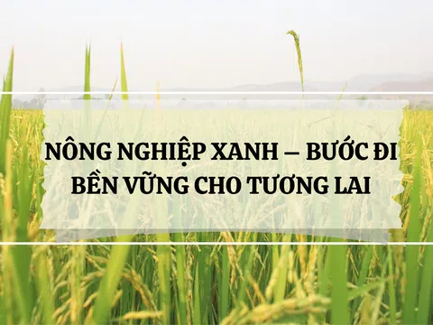 Nông nghiệp xanh - bước đi bền vững cho tương lai