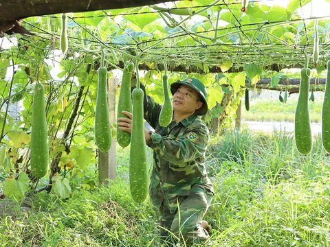 Tăng gia, chăn nuôi đảm bảo nguồn thực phẩm sạch