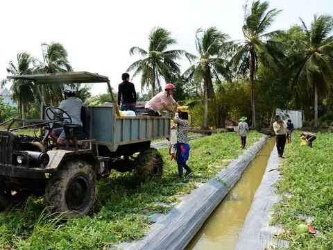 Cà Mau: Thực hiện nghiêm túc quan điểm về nông nghiệp, nông dân, nông thôn