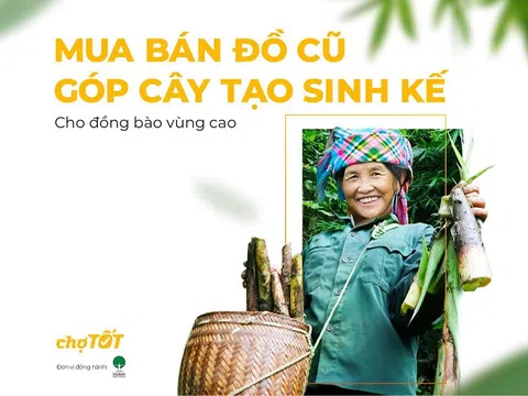 TreeBank, chợ tốt và cộng đồng tạo giá trị chung, góp cây tạo sinh kế bền vững cho đồng bào vùng cao