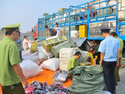 Quảng Ngãi: Tăng cường quản lý bảo vệ rừng, bảo tồn đa dạng sinh học, phòng chống buôn lậu và gian lận thương mại lâm sản dịp Tết