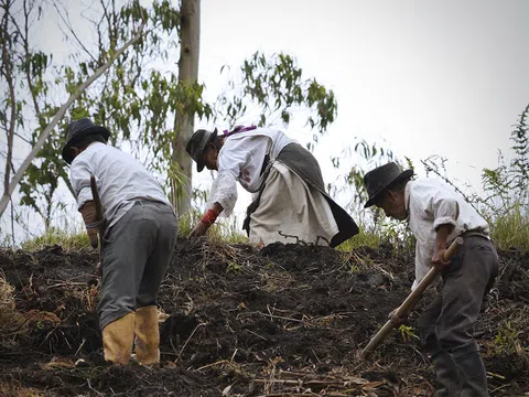 Công nhận thêm hai di sản nông nghiệp ở vùng Andes và Amazon Ecuador