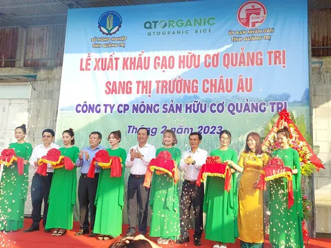 Lô gạo hữu cơ Quảng Trị đầu tiên xuất khẩu sang châu Âu